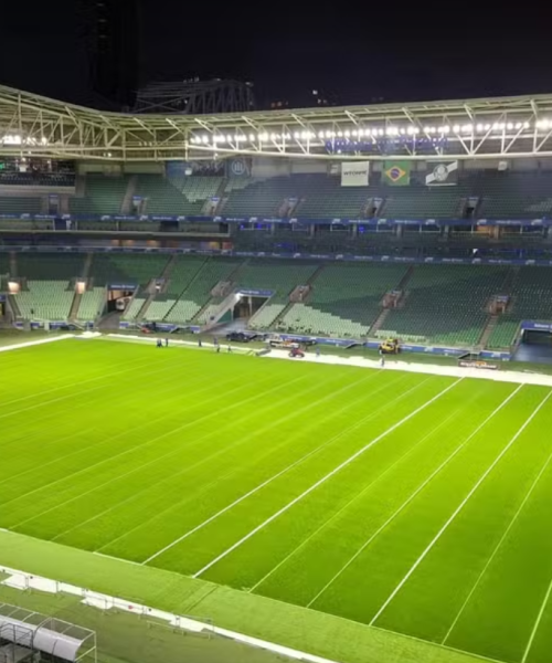 Allianz Parque acelera substituição do gramado e busca estar pronto para possível final do Palmeiras.