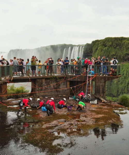Cataratas do Iguaçu: turistas jogam 383 kg de moedas e batem recorde histórico