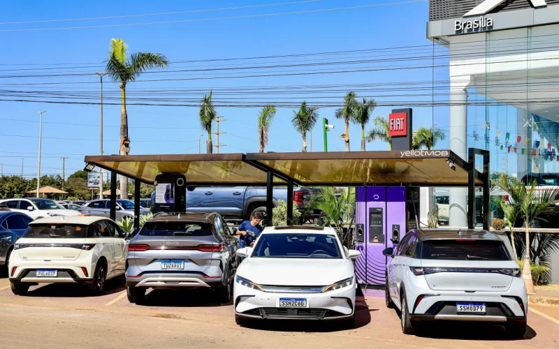 BYD Brasil marcas chinesas