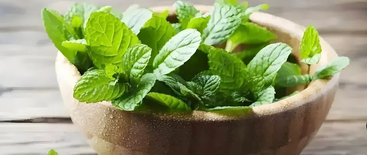 3 ervas anti-inflamatórias que você rejeita — e deveria comer todo dia