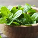 3 ervas anti-inflamatórias que você rejeita — e deveria comer todo dia