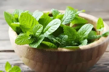 3 ervas anti-inflamatórias que você rejeita — e deveria comer todo dia