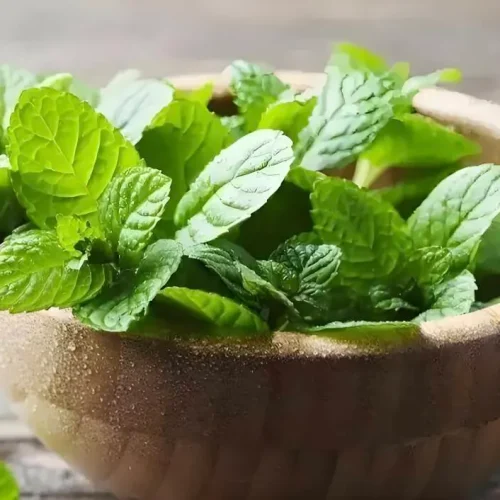 3 ervas anti-inflamatórias que você rejeita — e deveria comer todo dia