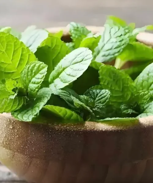 3 ervas anti-inflamatórias que você rejeita — e deveria comer todo dia