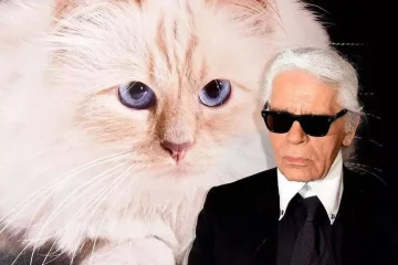 Choupette faliu? A verdade sobre a fortuna da gata mais rica do mundo
