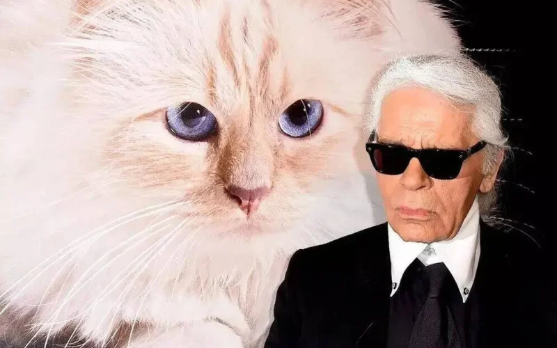 Choupette, a gata de Karl Lagerfeld, no auge da fama