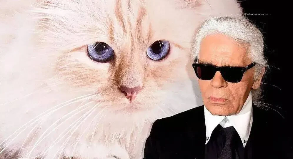 Choupette faliu? A verdade sobre a fortuna da gata mais rica do mundo