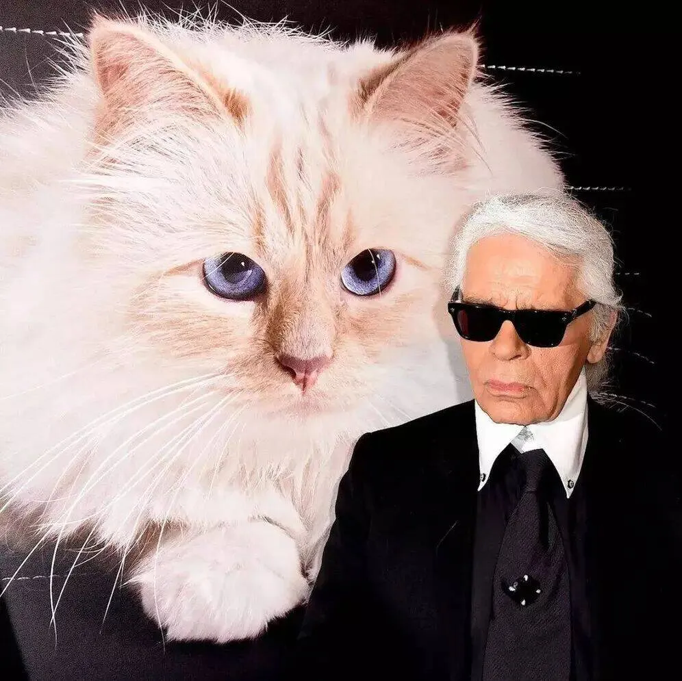 Choupette, a gata de Karl Lagerfeld, no auge da fama